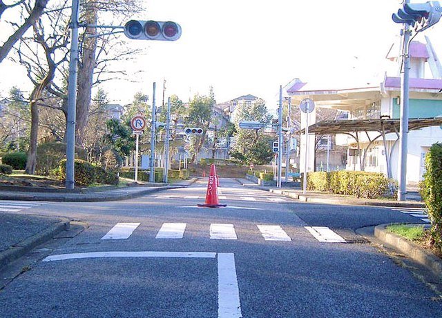 🌳 유칼립투스 교통공원 (유카리 코츠 코엔) 이미지 1